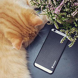 Carbon Fibre Cases